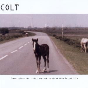 Cover for Colt · These Things Can'T Hurt You (...) (CD)