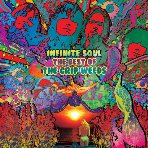 Cover for Grip Weeds · Infinite Soul: Best of the Grip Weeds (CD) [Best Of edition] (2008)