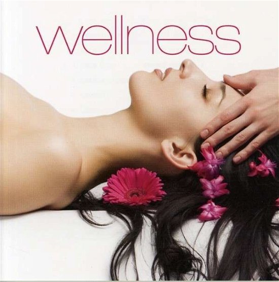 Cover for Wellness (CD) (2008)