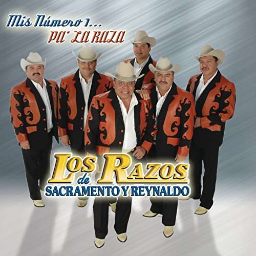 Cover for Razos · Mis Numero 1: Pa La Raza (CD) (2017)