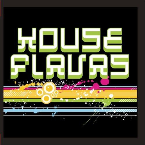 Cover for House Flavas / Var · House Flavas / Var-House Flavas / Var (CD) (2012)