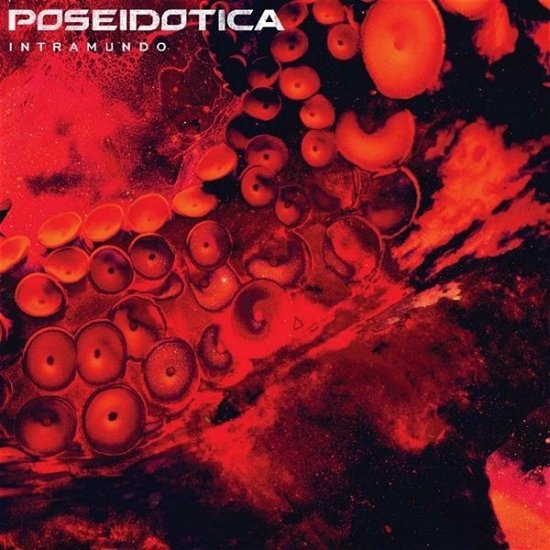 Cover for Poseidotica · Intramundo (LP) (2020)