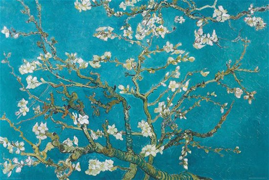 Poster (125r) Van Gogh (Almond Blossom San Ramy 1890) (61x91,5) - Van Gogh - Fanituote - AMBROSIANA - 5050293914121 - 