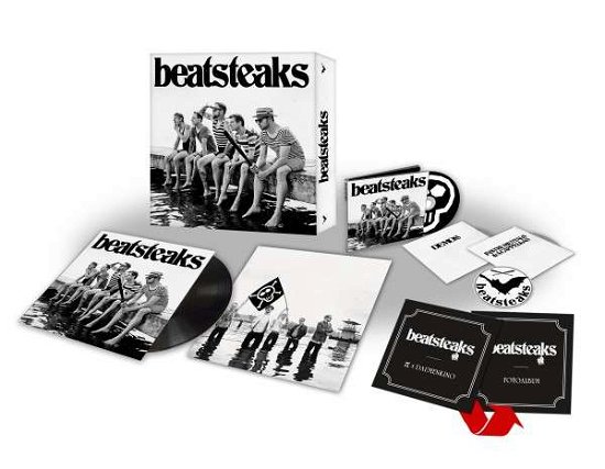 Cover for Beatsteaks · Beatsteaks Deluxe Box (LP) [Deluxe edition] [Box set] (2014)