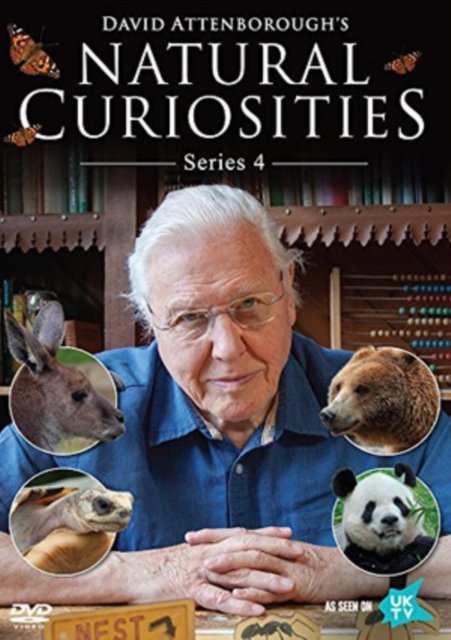 Cover for David Attenboroughs Natural 4 · David AttenboroughS Natural Curiosities - Series 4 (DVD) (2017)