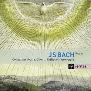 Bach: Masses Bwv 233-235 - Philippe Herreweghe - Música - CLASSICAL - 5099962848121 - 5 de abril de 2010