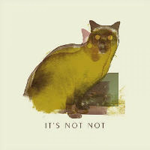 Cover for It's Not Not · Bound For The Shine (CD) (2008)