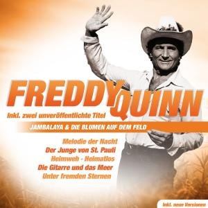 Cover for Freddy Quinn · Grosse Erfolge (CD) (2011)