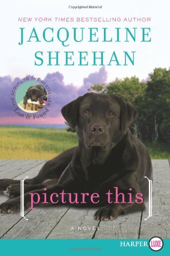 Cover for Jacqueline Sheehan · Picture This Lp: a Novel (Paperback Book) [Lgr edition] (2012)