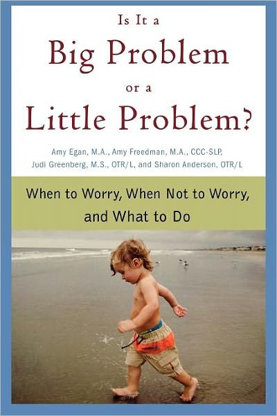 Cover for Sharon Anderson · Is It a Big Problem or a Little Problem?: when to Worry, when Not to Worry, and What to Do (Paperback Book) [First edition] (2007)