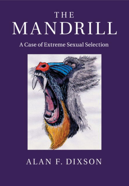 Cover for Dixson, Alan F. (Victoria University of Wellington) · The Mandrill: A Case of Extreme Sexual Selection (Taschenbuch) (2018)