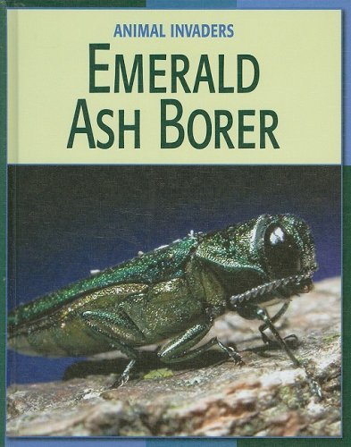 Cover for Susan Heinrichs Gray · Emerald Ash Borer (Animal Invaders) (Hardcover Book) (2008)