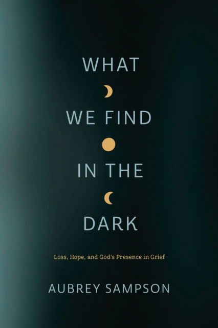 Cover for Aubrey Sampson · What We Find in the Dark (Paperback Book) (2025)