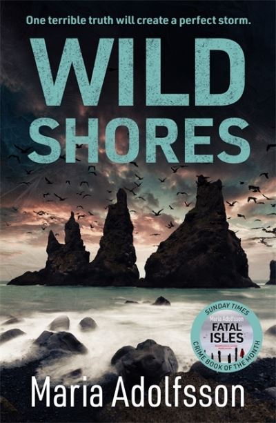 Wild Shores: The bestselling atmospheric police procedural that has taken the world by storm - Doggerland - Maria Adolfsson - Kirjat - Zaffre - 9781838776121 - torstai 17. helmikuuta 2022