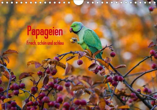 Cover for Voß · Papageien - Frech, schön und schlau (Book)