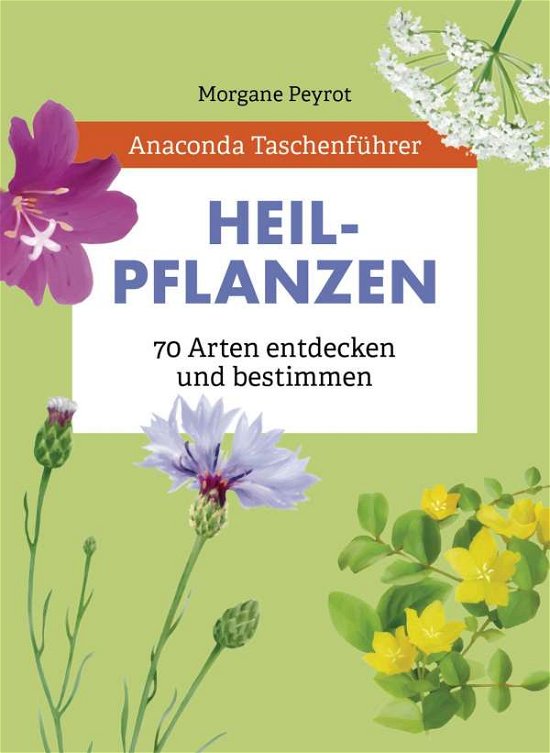 Cover for Morgane Peyrot · Anaconda Taschenführer Heilpflanzen. 70 Arten entdecken und bestimmen (Hardcover Book) (2021)