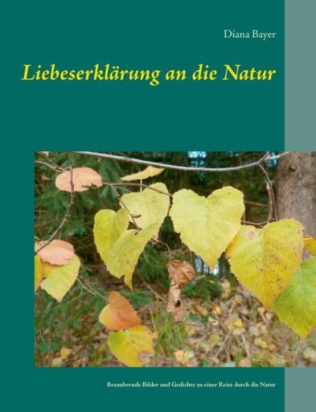 Liebeserklärung an die Natur - Bayer - Książki -  - 9783740763121 - 11 grudnia 2019