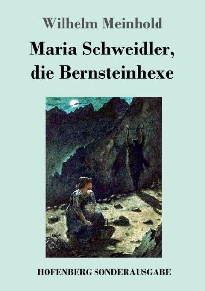 Cover for Meinhold · Maria Schweidler, die Bernstei (Book) (2017)