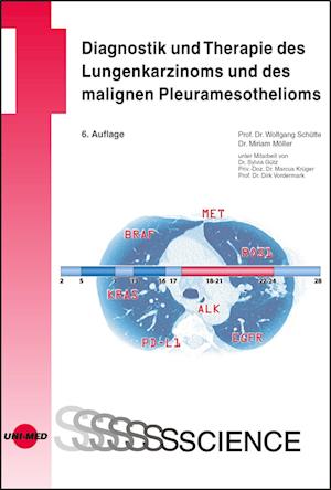 Cover for Wolfgang Schutte · Diagnostik und Therapie des Lungenkarzinoms und des malignen Pleuramesothelioms (Hardcover Book) (2021)