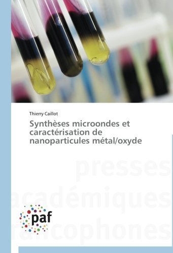 Cover for Thierry Caillot · Synthèses Microondes et Caractérisation De Nanoparticules Métal / Oxyde (Paperback Book) [French edition] (2018)