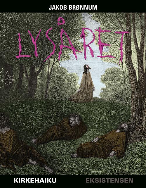 Cover for Jakob Brønnum · Lysåret (Innbunden bok) [1. utgave] (2016)