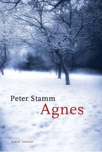 Cover for Peter Stamm · Agnes (Sewn Spine Book) [1st edition] (2008)