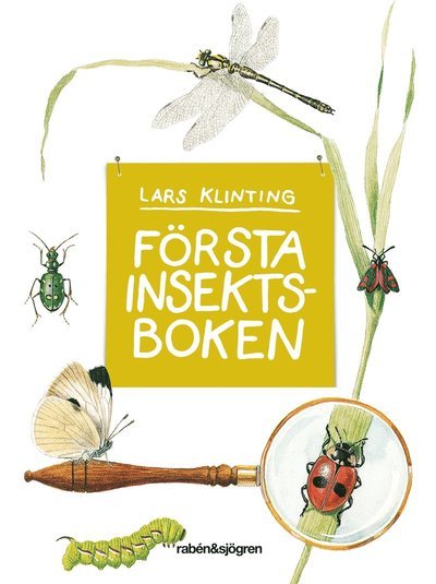 Cover for Lars Klinting · Första insektsboken (Bound Book) (2016)