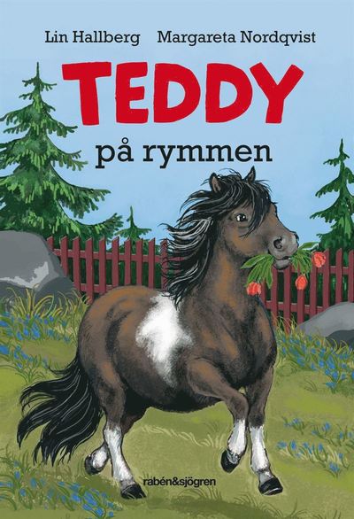 Cover for Lin Hallberg · Teddy: Teddy på rymmen (Hörbok (MP3)) (2018)