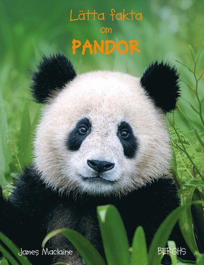 Lätta fakta: Lätta fakta om pandor - James Maclaine - Bücher - Berghs - 9789150221121 - 11. September 2015