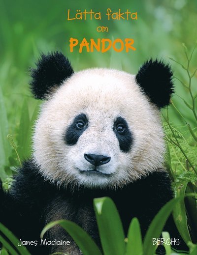 Cover for James Maclaine · Lätta fakta: Lätta fakta om pandor (Inbunden Bok) (2015)