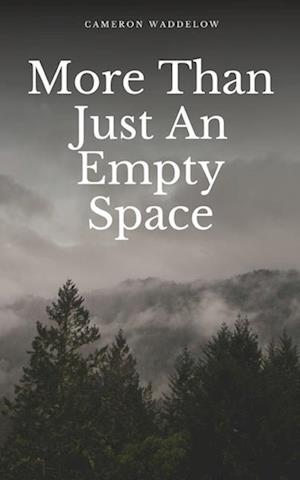 Cover for Cameron Waddelow · More Than Just An Empty Space (Paperback Book) (2023)