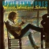 Cover for David Lynn Jones · David Lynn Jones - Wood Wind And Stone (CD) (2020)