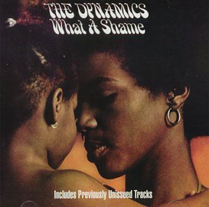 Cover for Dynamics · What A Shame (CD) (1990)