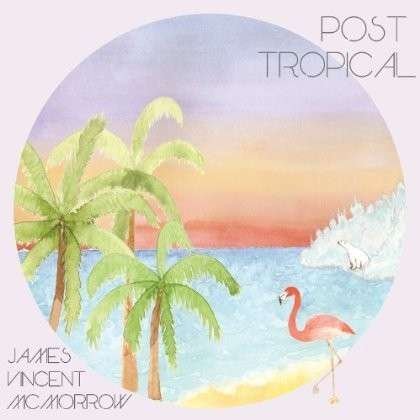 Post Tropical - James Vincent Mcmorrow - Musik - Vagrant Records/Fontana - 0601091413122 - 14. januar 2014
