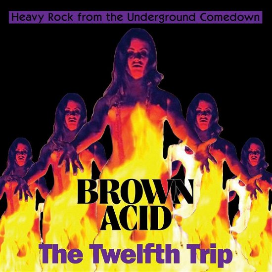 Cover for Brown Acid - the Twelfth Trip / Various (CD) (2021)