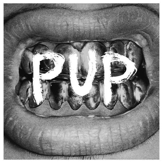 Cover for Pup (CD) (2014)