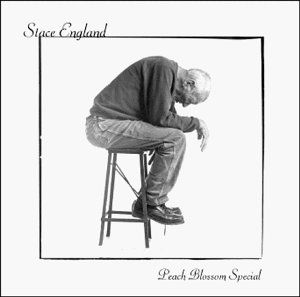 Cover for Stace England · Peach Blossom Special (CD) (2003)