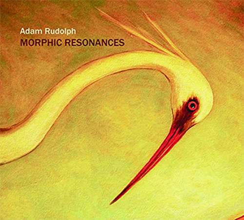 Morphic Resonances - Adam Rudolph - Música - META - 0638977102122 - 28 de novembro de 2023