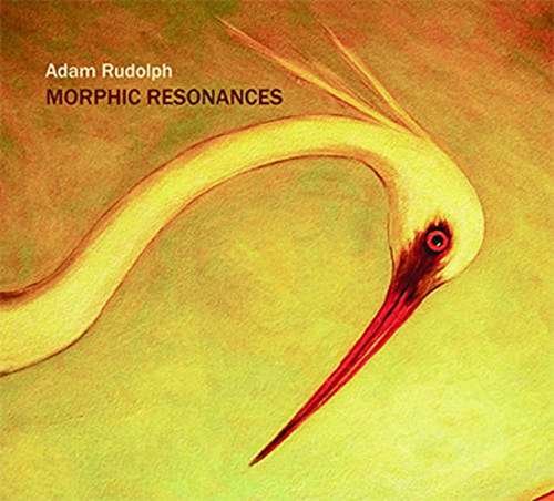 Morphic Resonances - Adam Rudolph - Musik -  - 0638977102122 - 20. Oktober 2017