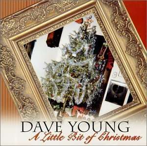 Cover for Dave Young · Little Bit of Christmas (CD) (2002)