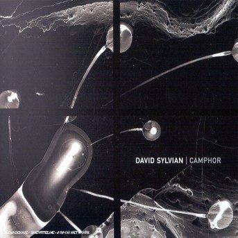 Camphor -ltd. - David Sylvian - Muziek -  - 0724381220122 - 