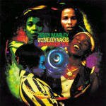 Cover for Ziggy Marley · Jahmekya (CD) (1999)