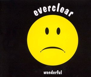 Cover for Everclear · Wonderful (CD)