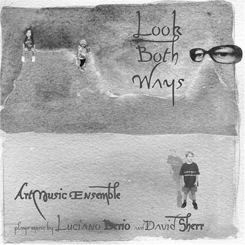Cover for Artmusic Ensemble · Look Both Ways (CD) (2000)