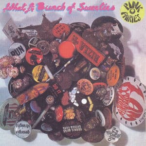 What a Bunch of ... -rema - Pink Fairies - Musik - POLYDOR - 0731458955122 - 18. Juli 2002