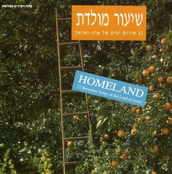 Cover for Homeland (CD) (2009)