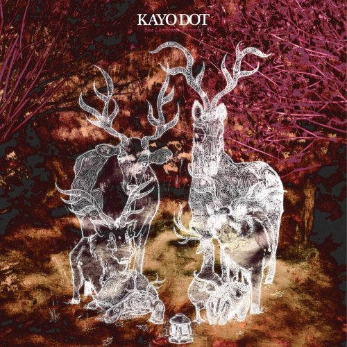 Cover for Kayo Dot · Blue Lambency Downward (CD) (2008)