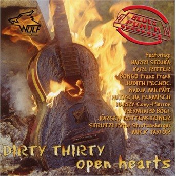 Cover for Bluespumpn · Bluespumpn - Dirty Thirty Open (CD)