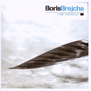 Cover for Boris Brejcha · Mein Wahres Ich (CD) (2019)
