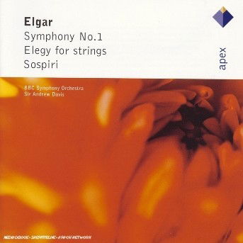 Cover for Davis · Sinfonia N.1 - Elegy For Strings (CD) (2010)